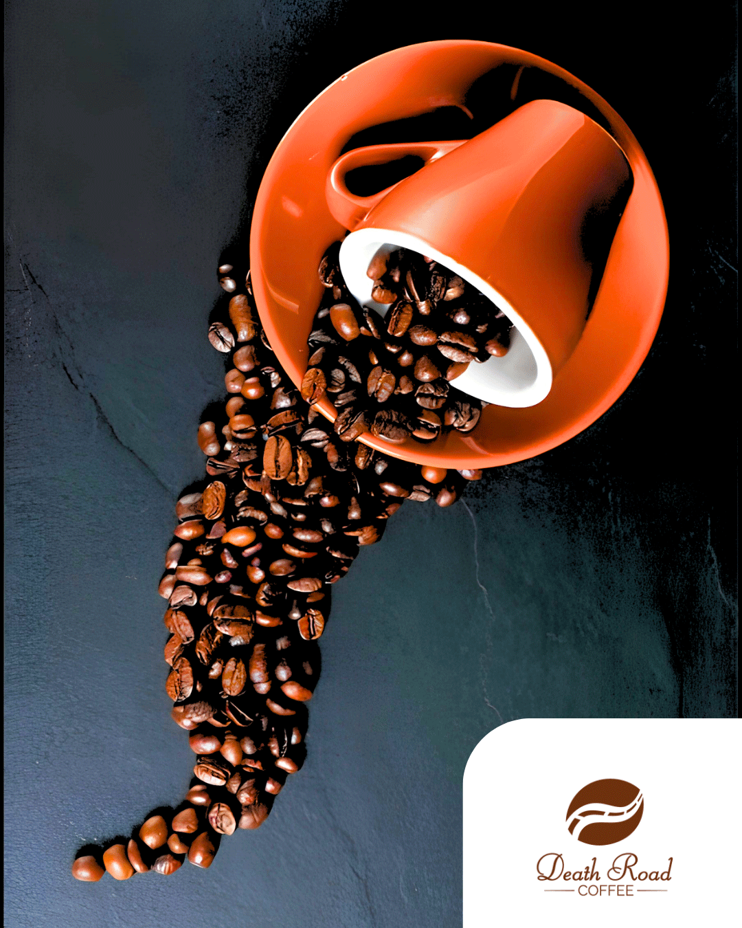 Pacamara